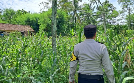 Bhabinkamtibmas Polres Malang Jadi Pendamping Petani Jaga Ketahanan Pangan