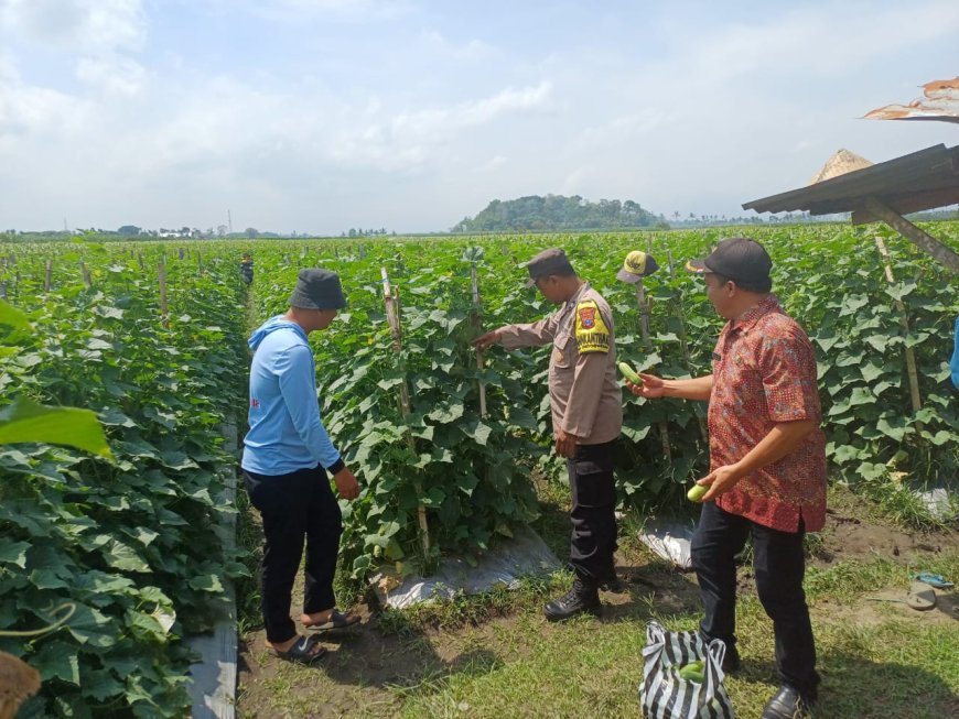 Polres Malang Dampingi Petani, Jaga Ketersediaan Pangan